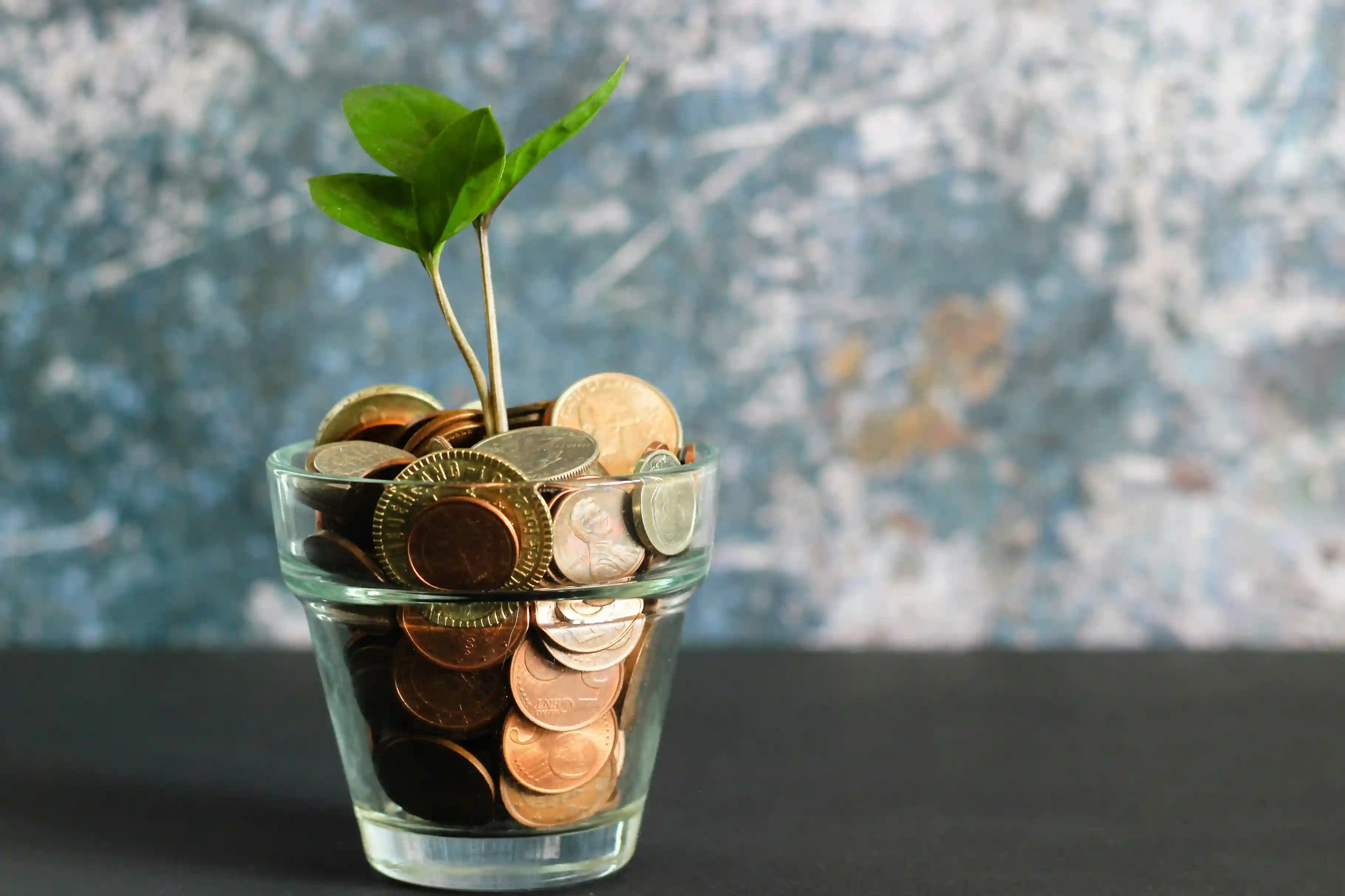 Pricing Strategy